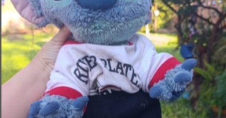 “Operación Stitch”: insólito operativo para recuperar el peluche robado a una nena