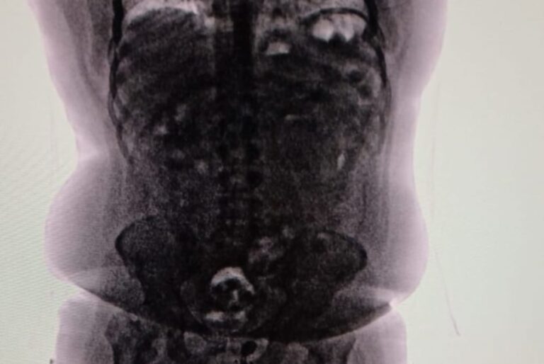 El caso de la mula que para la Justicia era una bomba de tiempo