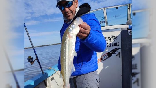 Despedimos mayo con la actualidad de 140 pesqueros