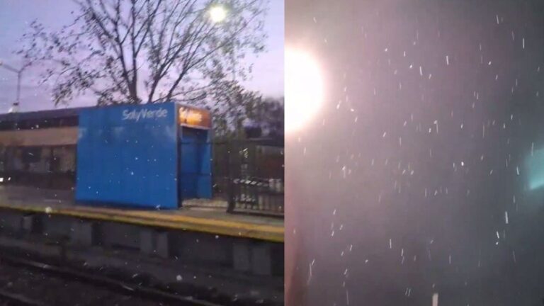 La nieve llegó a Buenos Aires: las mejores fotos y videos