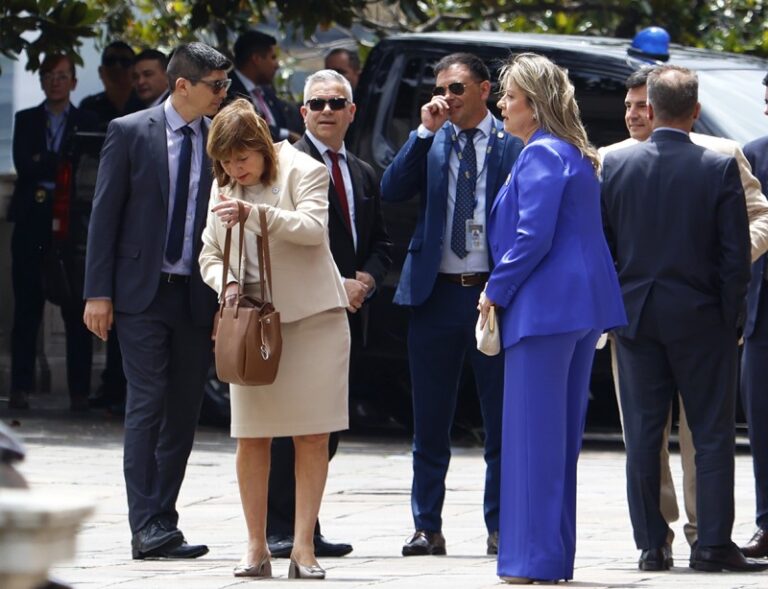 Furioso porque lo dejó expuesto, Milei le negó un helicóptero a Villarruel para sobrevolar la zona de incendios