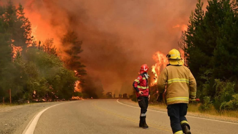 Piden una ley de “Ecocidio” por los incendios en Chubut: de qué se trata