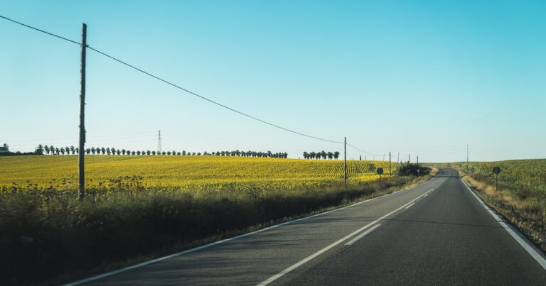 Nueve horas sin ser visto tras un accidente en la ruta 8: nadie lo vio, nadie paró