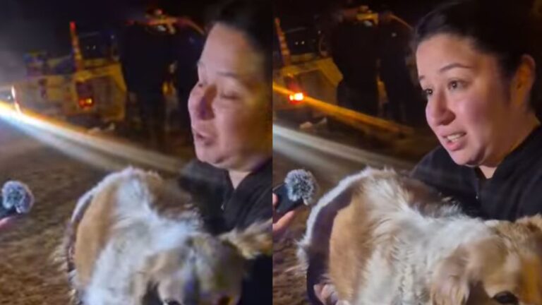 El conmovedor reencuentro de una perra con su familia en medio de la evacuación en Comodoro Rivadavia