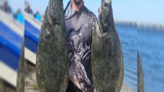 Mar Chiquita: la incansable búsqueda del lenguado