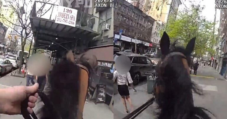 Agente de la policía montada de Nueva York a caballo durante un operativo en la calle.