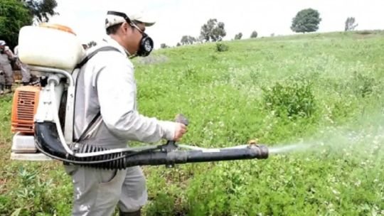 Campos de cultivo extensivo en Argentina, con avión fumigador sobrevolando la zona