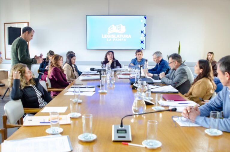 Legislatura de La Pampa durante la sesión donde se aprobó el dictamen para investigar a Niñez por el caso Rancul